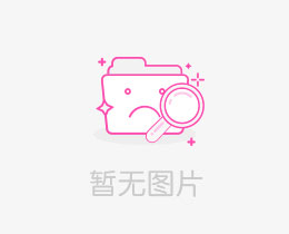 高纯锌参比电极